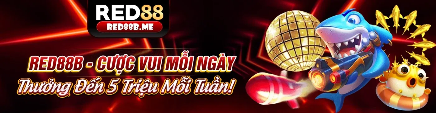 Cá cược thể thao 8 Đầy Đăng Nhập